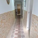 Meraki